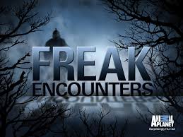 Freak Encounters - Season 1