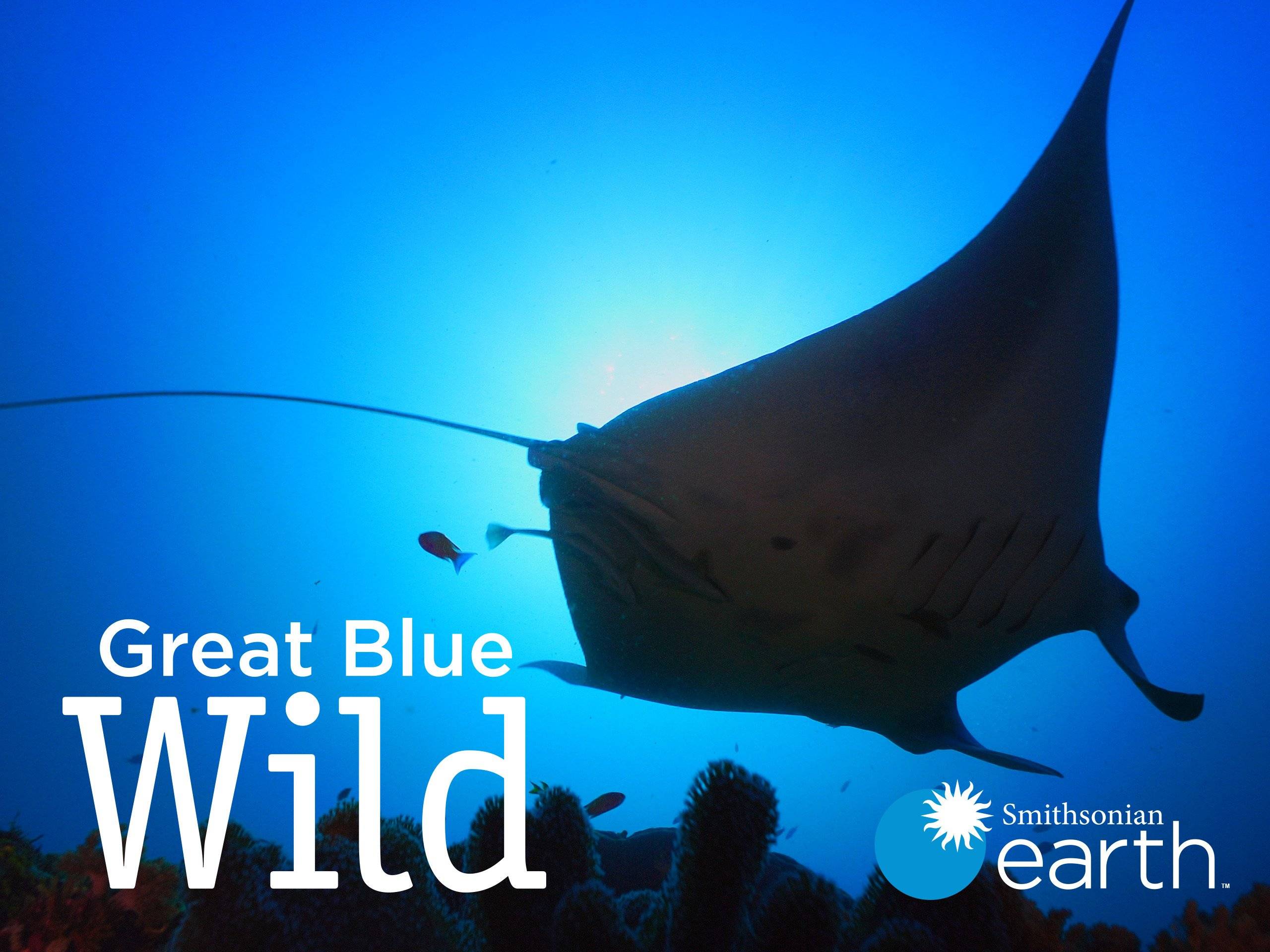 Great Blue Wild - Season 1