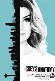 Grey's Anatomy - Season 13