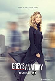 Grey's Anatomy - Season 17
