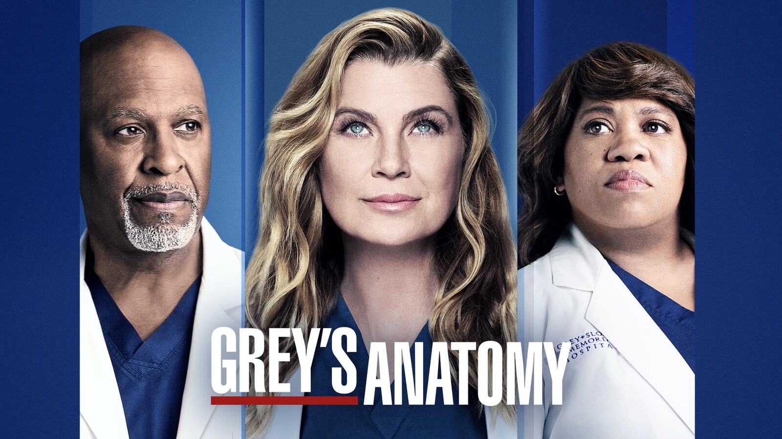 Grey's Anatomy - Season 19