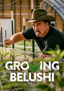 Growing Belushi - Season 1