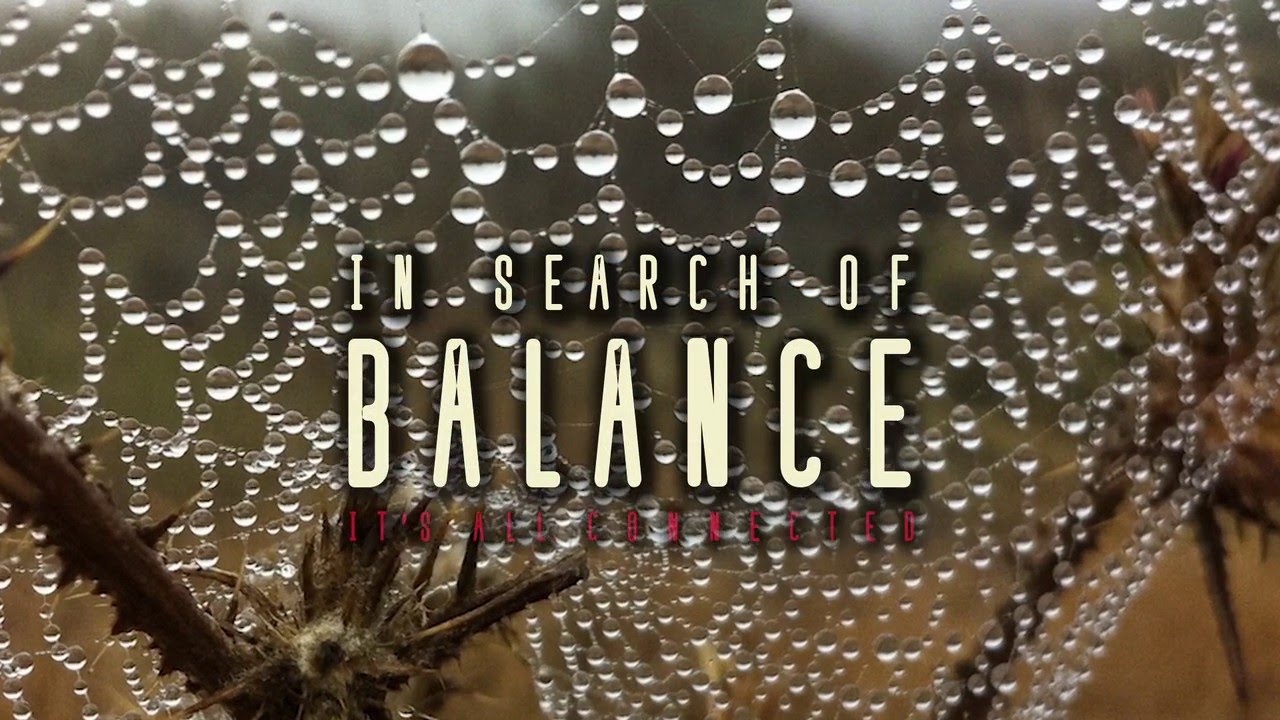 In Search of Balance