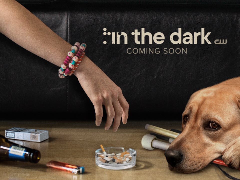 In the Dark  (2019) - Season 1