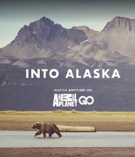 Into Alaska - Season 1