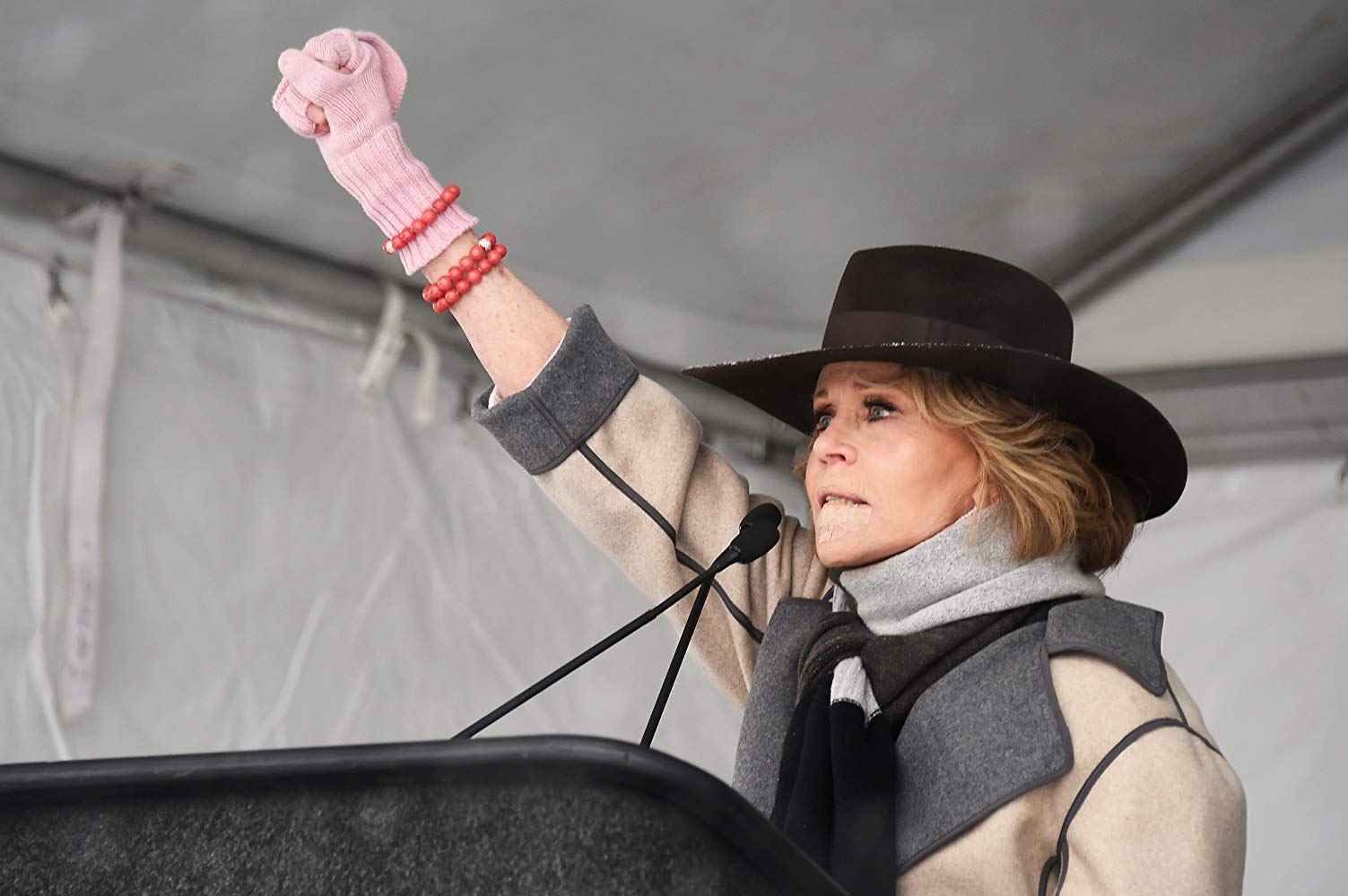 Jane Fonda in Five Acts