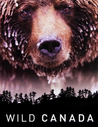 Kodiak - Season 1
