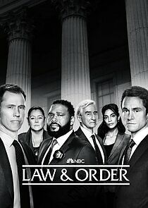 Law & Order - Season 21