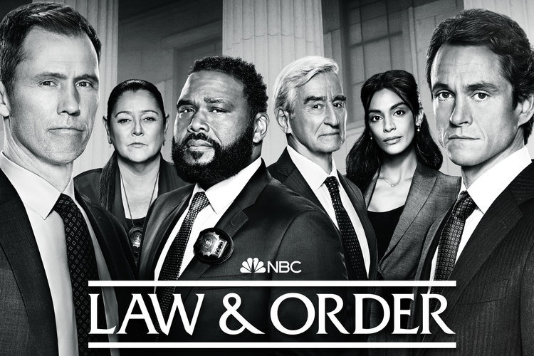 Law & Order - Season 22