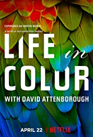 Life in Colour - Season 1