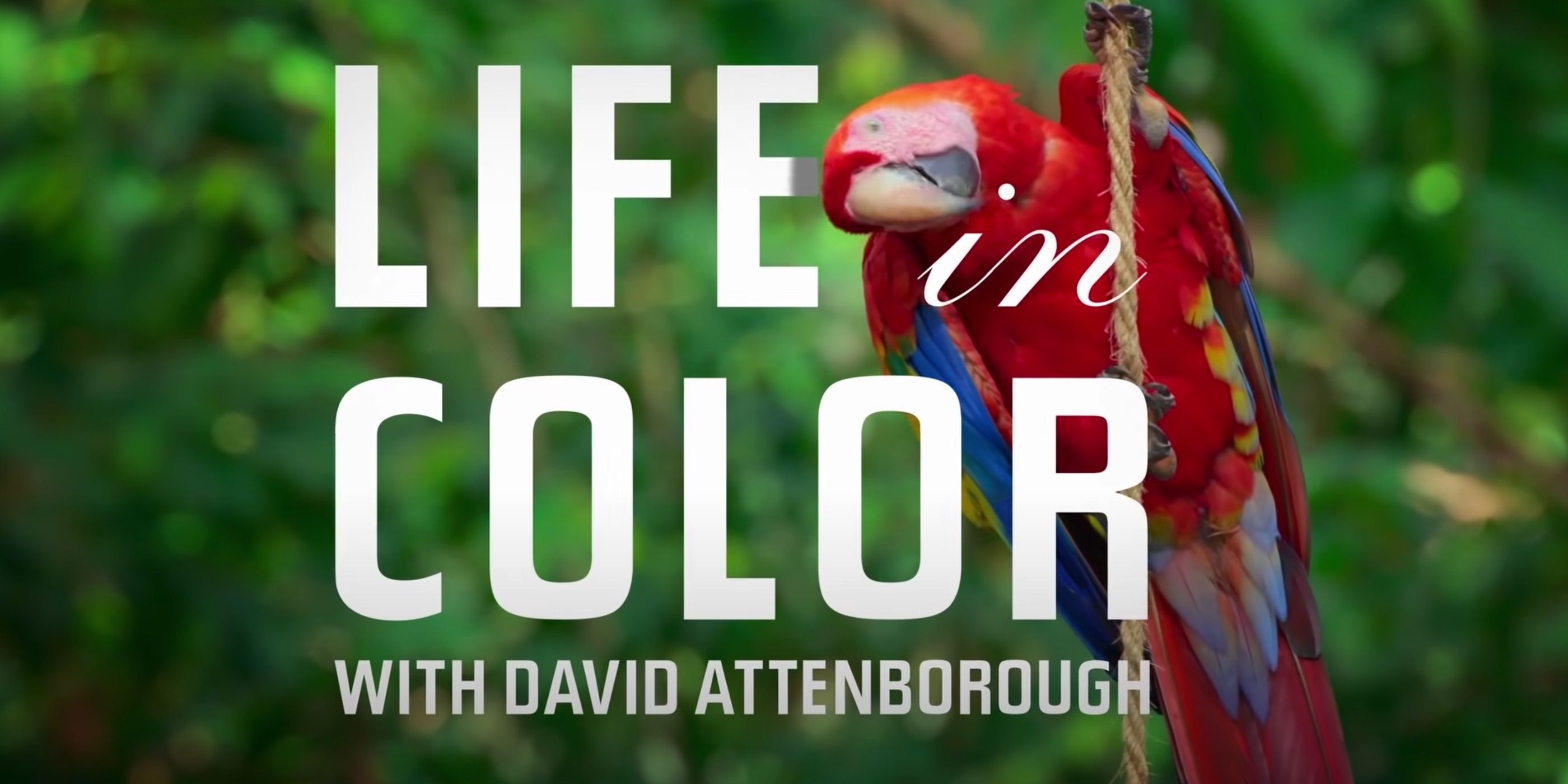 Life in Colour - Season 1