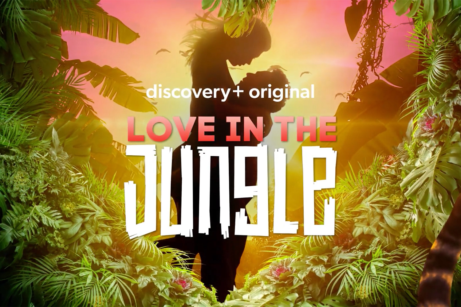 Love in the Jungle - Season 1