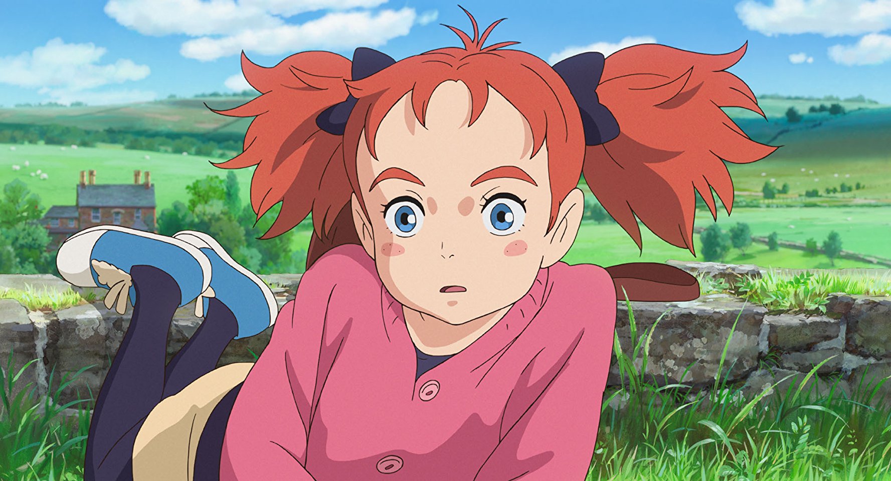 Mary and the Witch's Flower