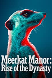 Meerkat Manor: Rise of the Dynasty - Season 1