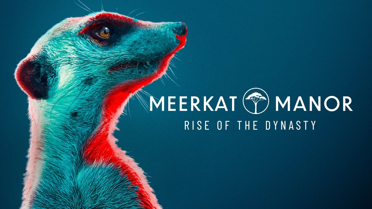 Meerkat Manor: Rise of the Dynasty - Season 1