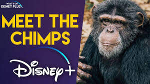 Meet the Chimps - Season 1