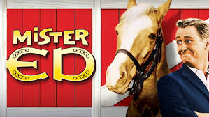 Mister Ed season 2