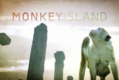 Monkey Island - Season 1