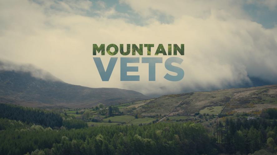 Mountain Vets - Season 1