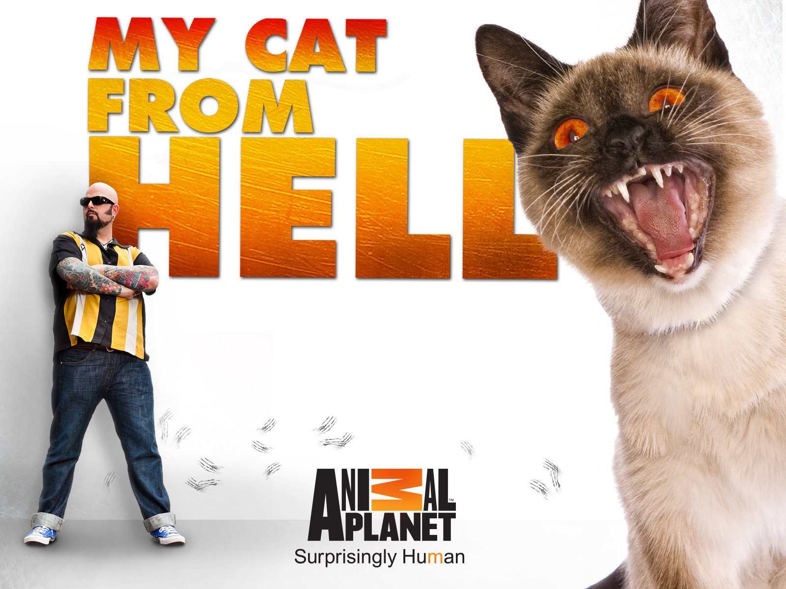 My Cat from Hell - Season 10