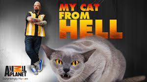 My Cat from Hell - Season 9