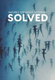Nature's Strangest Mysteries: Solved - Season 1