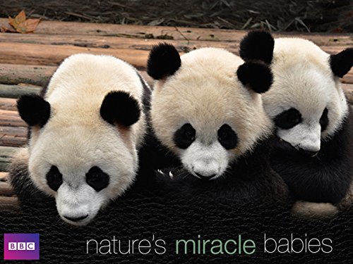 Natures Miracle Babies - Season 1