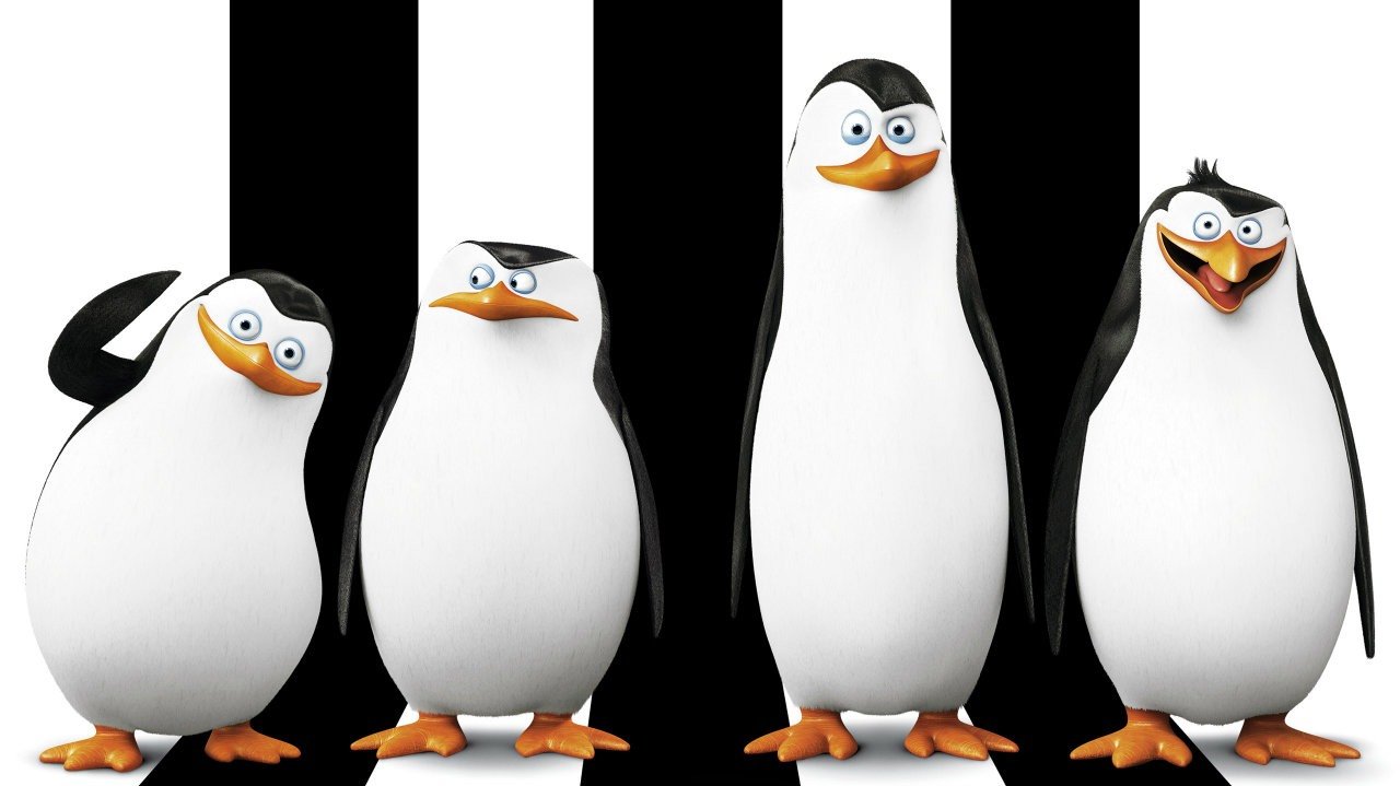 Penguin League