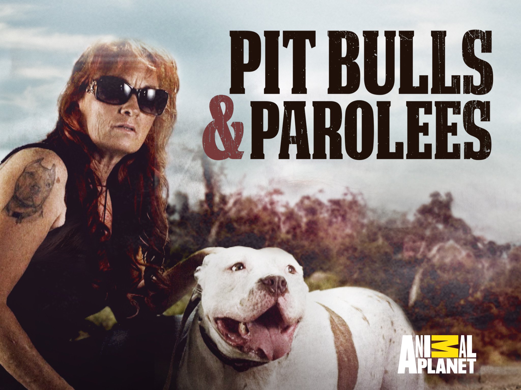 Pit Bulls and Parolees - Season 12