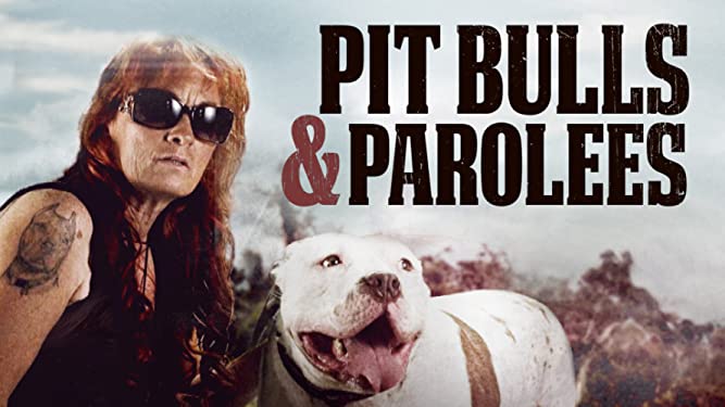 Pit Bulls and Parolees - Season 16