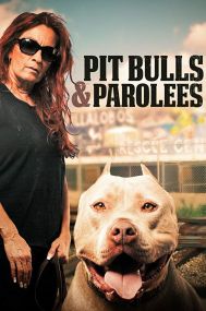 Pit Bulls and Parolees - Season 1