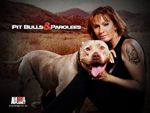 Pit Bulls and Parolees - Season 9