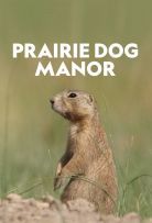 Prairie Dog Manor - Season 1