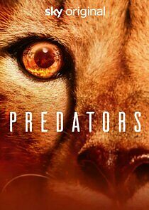 Predators - Season 1