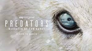 Predators - Season 1