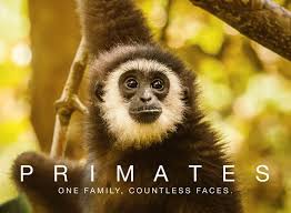 Primates - Season 1