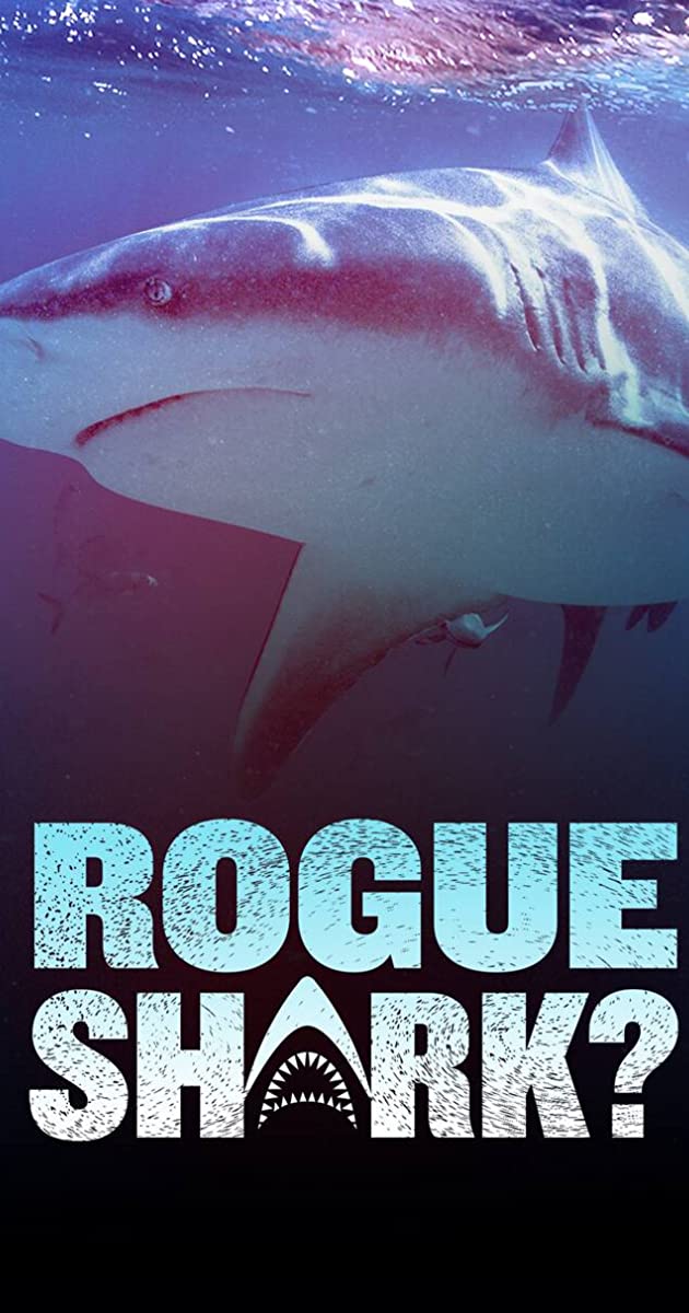 Rogue Shark?