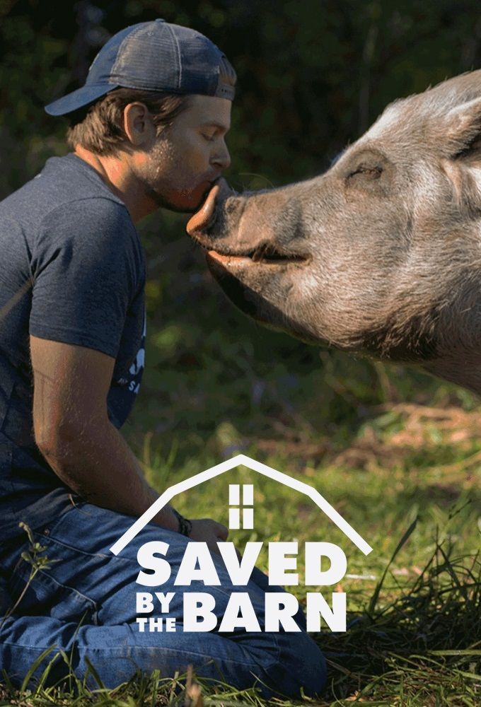 Saved By The Barn - Season 1