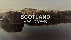 Scotland: A Wild Year - Season 1