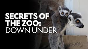 Secrets of the Zoo: Down Under - Season 1