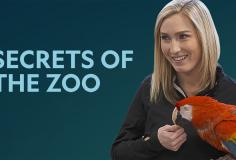 Secrets of the Zoo - Season 2