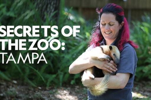 Secrets of the Zoo: Tampa - Season 1