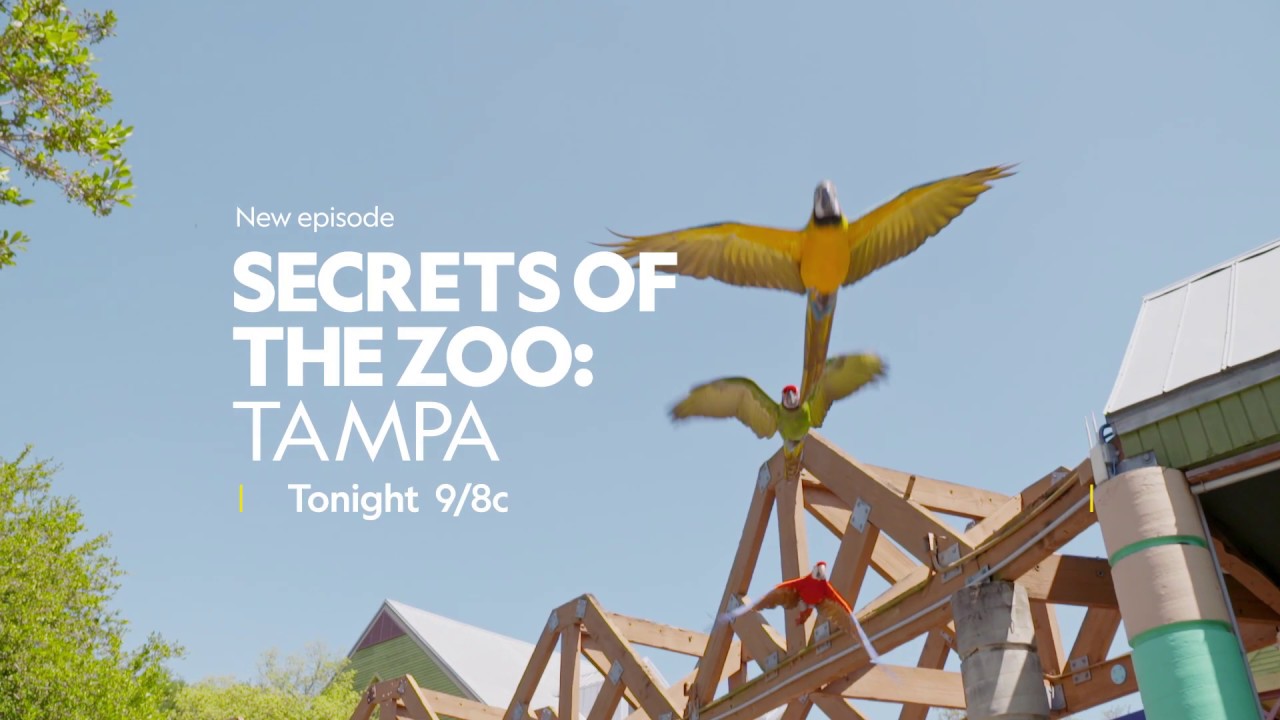 Secrets of the Zoo: Tampa - Season 2