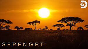 Serengeti - Season 2