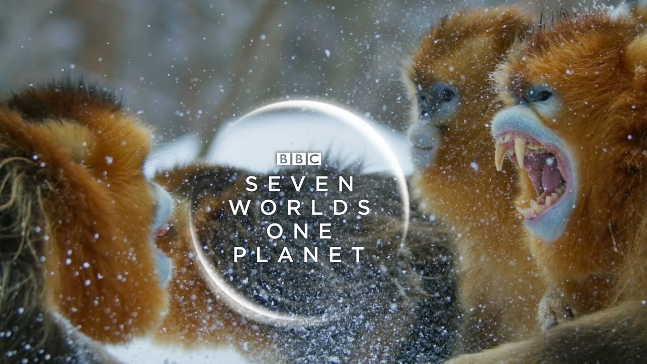 Seven Worlds, One Planet - Season 1