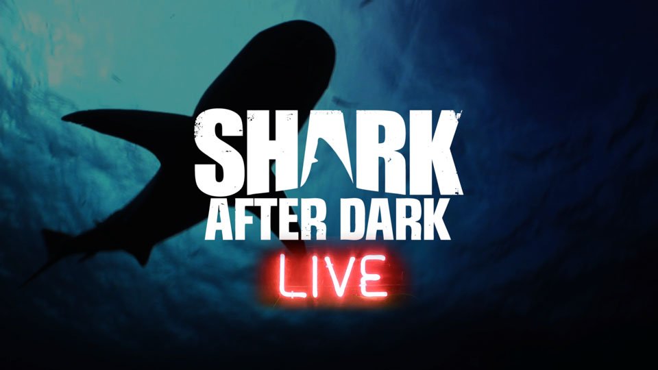 Shark After Dark - Season 5