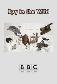 Spy in the Wild - season 1