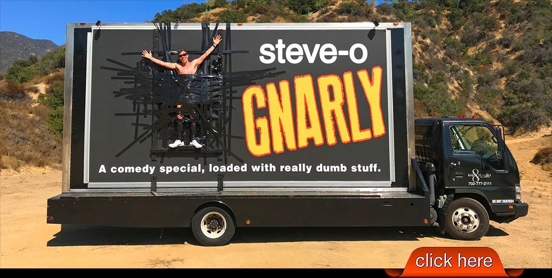 Steve-O: Gnarly