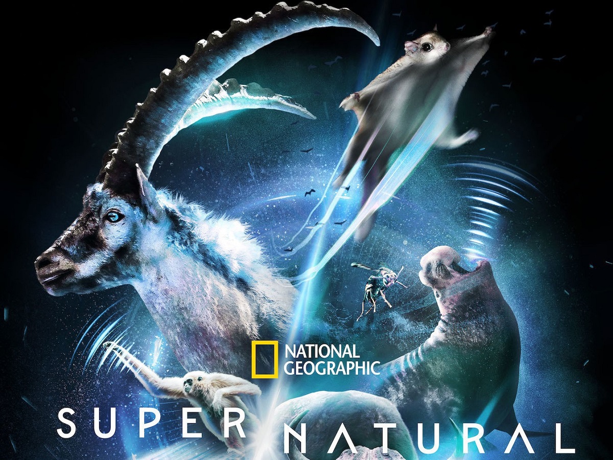 Super/Natural - Season 1