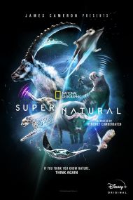 Super/Natural - Season 1